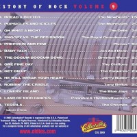 HISTORY OF ROCK N ROLL VOL. 9