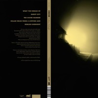 Endless Midnight