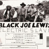 Electric Slave