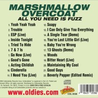 ALL YOU NEED IS FUZZ