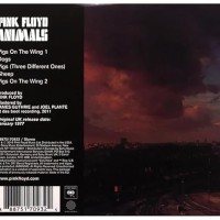 Animals