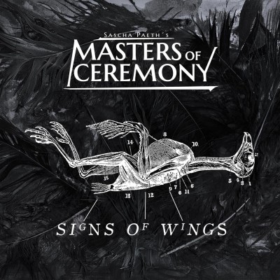 SIGNS OF WINGS