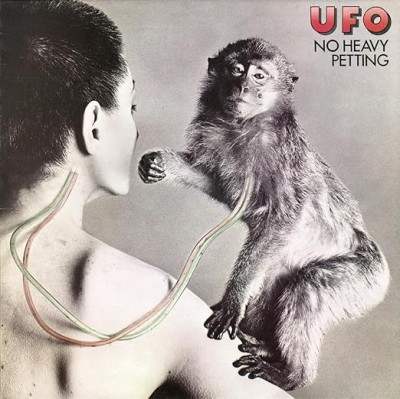 No Heavy Petting - Deluxe Edition - Clear vinyl