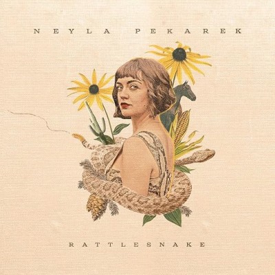 Rattlesnake