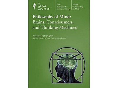bRAINS, cONSCIOUSNESS & tHINKING mACHINES