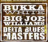 Delta Blues Masters