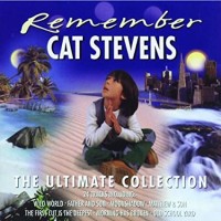 Remember-The Ultimate Collection