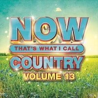 Now That's What I Call Country Volume 13