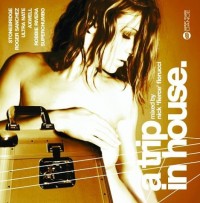 A TRIP IN HOUSE-Stonebridge,Roger Sanchez,Ultra Nate,Axwell,Superchumb