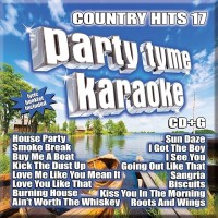 Country Hits 17