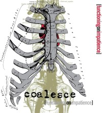 Functioning On Impact