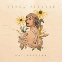 Rattlesnake