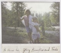 Young Beauties & Fools